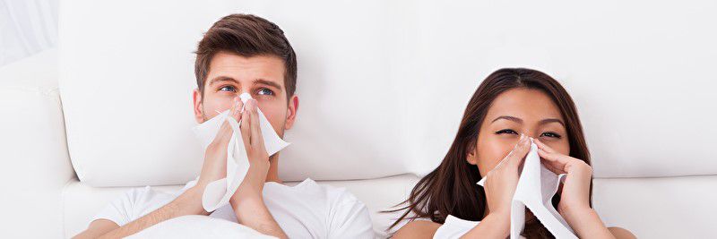 Erkältung, Grippe & Immunsystem